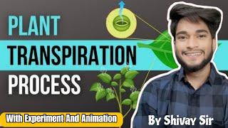 Transpiration Process With Experiment & Animation | Mind Marvels | Shivay Singh