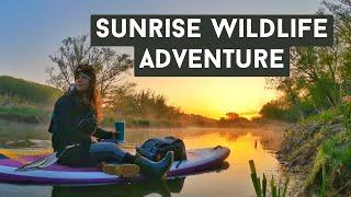 Sunrise Wildlife Paddle Boarding Adventure