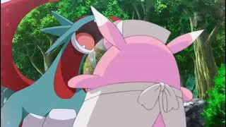 Pokemon XY Wigglytuff Calms Down Salamence