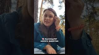 Почему мы устаем?
