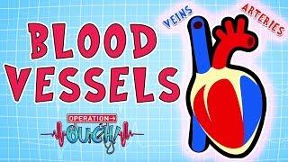 Operation Ouch - Blood Vessels | Science for Kids