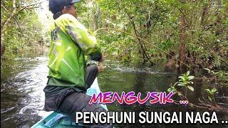 HARI KE - DI SUNGAI NAGA AKHIRNYA MENGUSIK BLACK MAMBA ..  ..