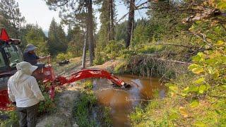 Trip to Off-Grid Cabin: Wasp Attack, Wild Pond and New Fence and Pocket Door. #offgrid