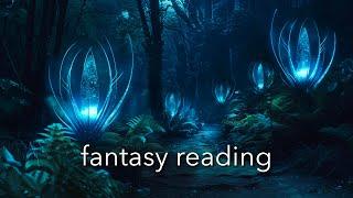 Fantasy Reading Music: Ambient Music to Spark Imagination