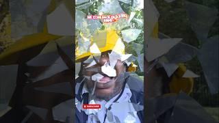 INFLUENCE VYBZ KARTEL MADE IT HAVE A LOOK.. #travel #caribbeanmusic #duet #travelmarvel