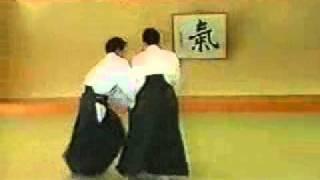 Ki Aikido -  Taigi 20