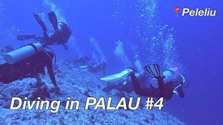 팔라우 스쿠버다이빙 #4 | 페렐리우에서 살아남기, GT RIVER, 도넛다이버스, MK DIVE, 조류 다이빙, Palau scuba diving, peleliu