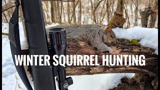 Squirrel Hunting In Winter - Winter Hunting Tips