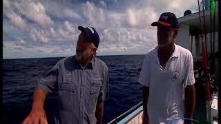 Rex Hunt Fishing Adventures | Series 11 Episode 8 | Lord Howe Island NSW