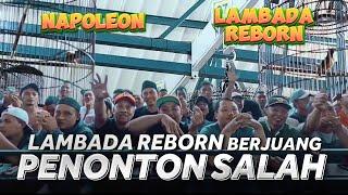 PENYEBAB LAMBADA REBORN TAK DAPAT NOMINASI di Prasasti Bharatayudha Cup