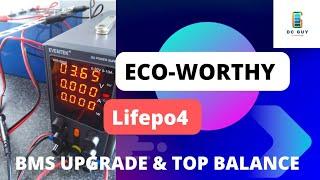 Eco-Worthy Lifepo4 Battery one year anniversary capacity testing #lifepo4 #solar #ecoworthy