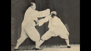 Tung - Yang Style Taiji (Tai Chi) Applications