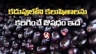 Neredu Pandu Health Benefits | jamun fruit  I V6 News