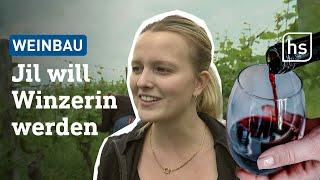 Weinbau wird weiblich: Junge Winzerinnen erobern Deutschlands Top-Weingüter | hessenschau