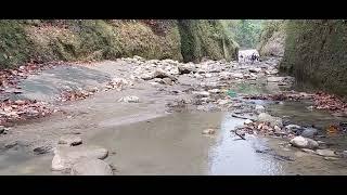 Someshwar Hills Gobardhana Forest range West Champaran (Bihar) । सोमेश्वर पहाड़ी (गोवर्धना) , रामनगर