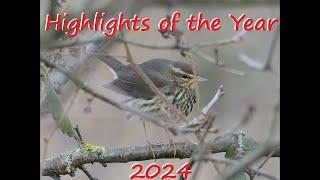 Essex Birdwatching Society 2024 highlights