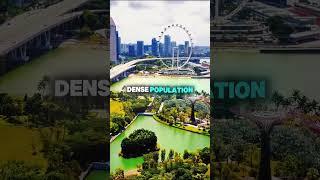 Singapore: Tiny City, Big Population!  #IslandLife #CityExplorers #travel