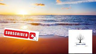 Nature world-عالم الطبيعة   The world of nature    le monde de la nature