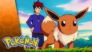 Showdown in Alabastia | POKÉMON  – GANZE FOLGE 60 | Staffel 2