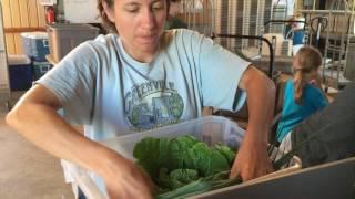 How We Pack Your Box: An Inside Peek of the CSA Assembly Line