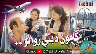 Gamoo Dubai Rawano | Asif Pahore (Gamoo)