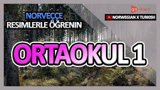 Norveççe Resimlerle Öğrenin | Norveççe Kelime Bilgisi Ortaokul 1 | Golearn