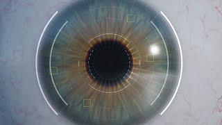 Iris Recognition System| CNN| Webtunix AI | +91-7973788405 for query