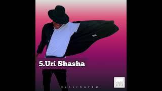 Sober Guy - Uri Shasha ( Official Audio)