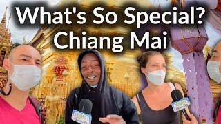 What Is So Special About Chiang Mai province? The North of Thailand [Street interviews]