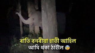 ৰাতি বনৰীয়া হাতী আহিল  আমি থকা ঠাইলৈ - Episode 15 : Elephant Journey to Kaziranga 2024