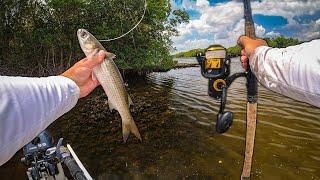 Getting Redemption on Giant Backwater Snook and Tarpon!