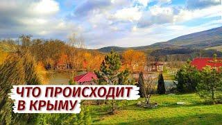 ЧТО ПРОИСХОДИТ в Крыму. Блогеры. Последствия урагана. Орловка.