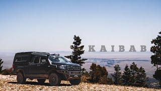 Overlanding 200 Miles Across the Kaibab Plateau to The North Rim Grand Canyon