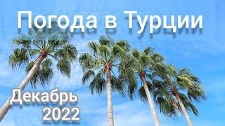 Мерсин. Зима в Турции. Набережная Мезитли, Соли.Нарды, рыбалка #переездвтурцию #мерсин