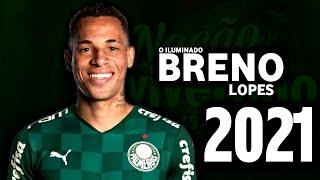 Breno Lopes ● Goalls ● Driblling ● Assists ● Skills 2021 ● HD