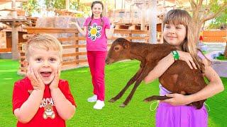 Diana y Roma en el Zoológico + más cuentos con Animales para niños