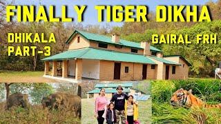 Finally TIGER dikha | Gairal Forest Rest House | Jim Corbett National Park | #dhikala | Part-3