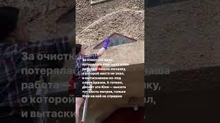 Чистим орла: день 4  #реставрация #история
