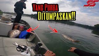 Memburu Ikan Bersaiz Mega Di Wetland Putrajaya | Umpan dan Teknik Bersama Abang Din