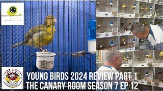 The Canary Room Season 7 Episode 12 - Reviewing the young birds bred in 2024 part 1