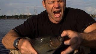 Bitten by a Black Piranha | Deadly 60 | Series 3 | BBC Earth