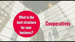 Best Business Structure: Cooperatives // KD Professional Accounting Calgary Business Tips