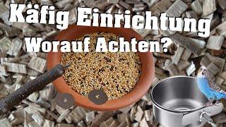 GUTE KÄFIG EINRICHTUNG! Worauf solltest du ACHTEN?