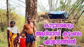 കാട്ടാനയുടെ ശല്യംമൂലം രണ്ട് കിഡ്നികളും തകരാറിലായ ആദിവാസി യുവതിയടക്കം ഒരു കുടുംബം ഏറുമാടത്തിൽ