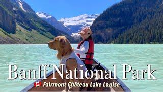  My DOG travels to a WORLD WONDER BANFF National Park | Fairmont Lake Louise | Moraine Lake