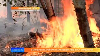 Пожар в Мордовском заповеднике