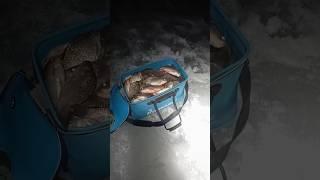 рыбалка на озере Лебяжье #северныйказахстан #рыбалка #лебяжье