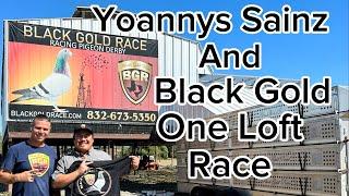 Visiting Yoannys Sainz and Black Gold One Loft Race #pigeonracing #racingpigeon #pigeon #oneloftrace