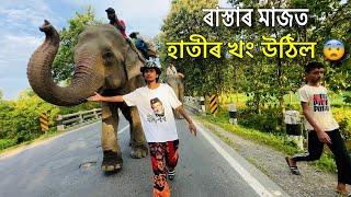 ৰাস্তাৰ মাজত হাতীৰ খং উঠি গ’ল  - Episode 16 : Elephant Journey to Kaziranga 2024