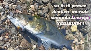 İnatçı mera da SU ÜSTÜ AKSİYONU  WTD TEKNİĞİ İLE LEVREK AVI SIRLARI ÇÖZÜLDÜ !